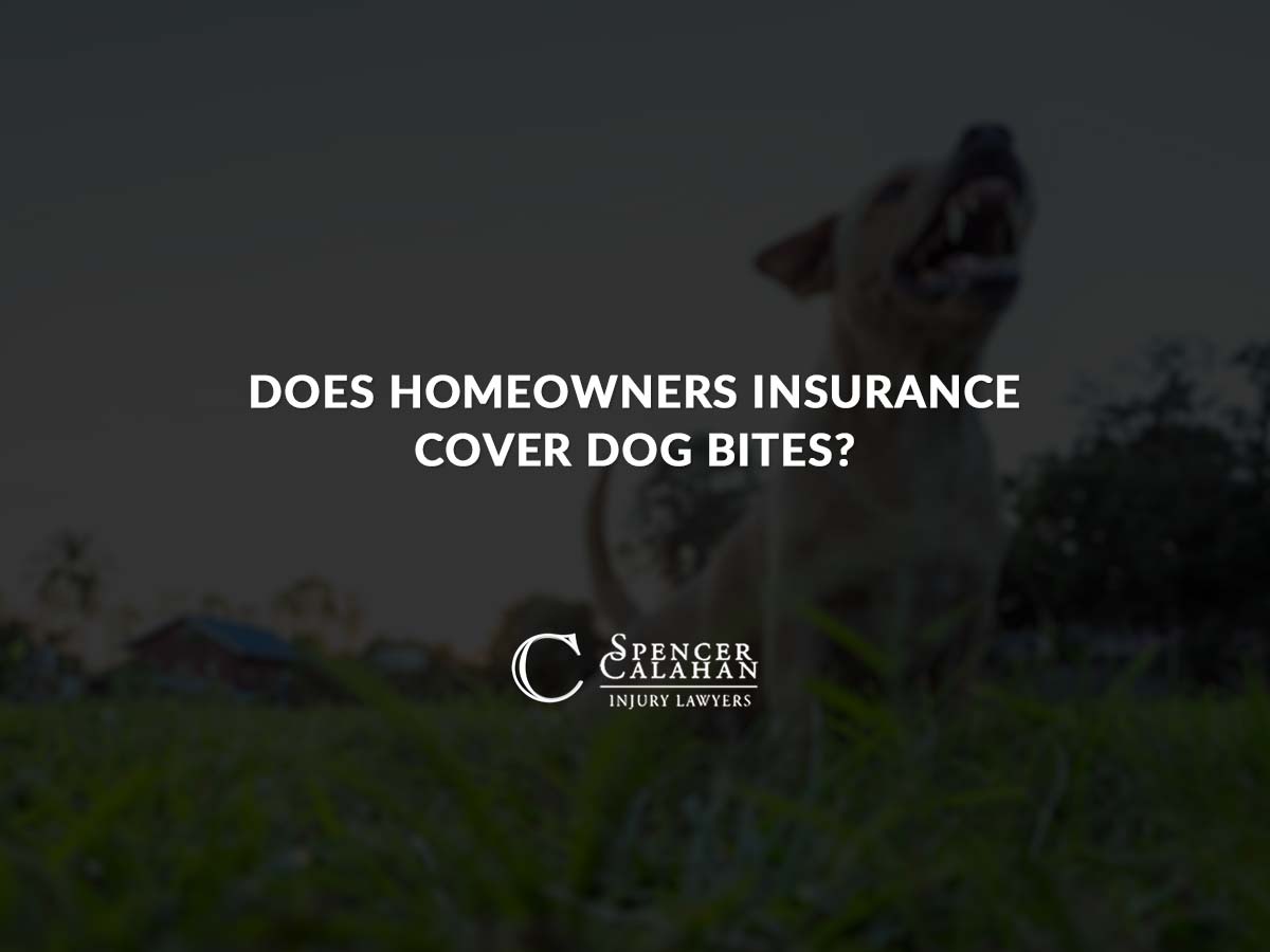 Does Homeowners Insurance Cover Dog Bites Spencer Calahan Injury Lawyers Does Homeowners Insurance Cover Dog Bites Spencer Calahan Injury Lawyers